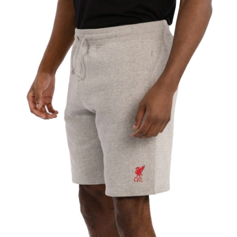FC Liverpool pánske kraťasy sweat grey