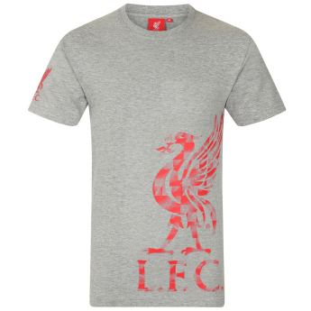FC Liverpool pánske tričko Graphic grey