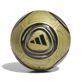 Lionel Messi futbalová lopta Art Training