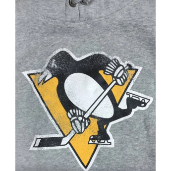 Pittsburgh Penguins pánska mikina s kapucňou grey Knockaround Headline