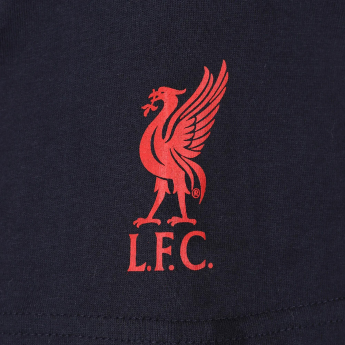 FC Liverpool pánske tričko Graphic navy