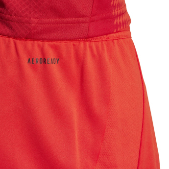 Bayern Mníchov futbalové trenírky 24/25 home