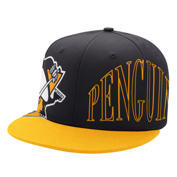 Pittsburgh Penguins čiapka flat šiltovka Big Fan
