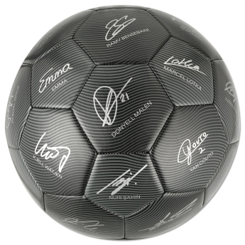 Borussia Dortmund futbalová lopta 24/25 with signatures