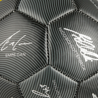 Borussia Dortmund futbalová lopta 24/25 with signatures