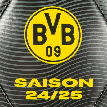 Borussia Dortmund futbalová lopta 24/25 with signatures