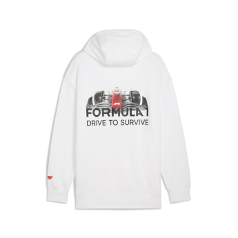 Formule 1 pánska mikina s kapucňou DTS Relaxed white F1 Team 2025