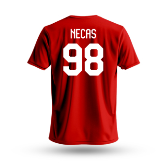 Hokejové reprezentácie pánske tričko Czech republic Martin Nečas #98 National Emblem 2025 red