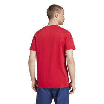 Bayern Mníchov pánske tričko DNA Tee red