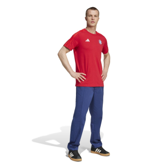 Bayern Mníchov pánske tričko DNA Tee red