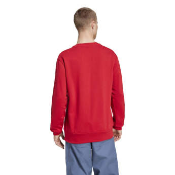 Bayern Mníchov pánska mikina DNA Sweat red