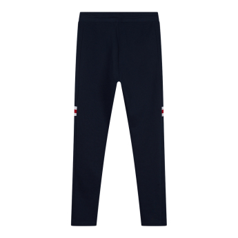 Paris Saint Germain pánske tepláky Stripe blue