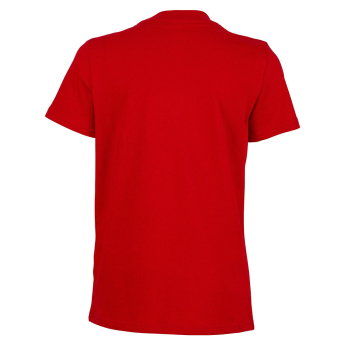 Paris Saint Germain detské tričko Stripe Logo red