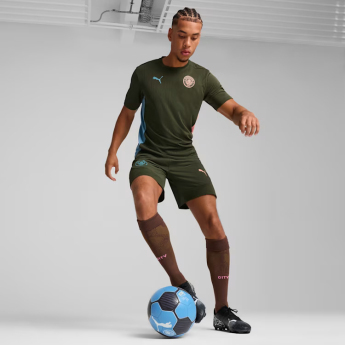Manchester City tréningový pánsky dres myrtle
