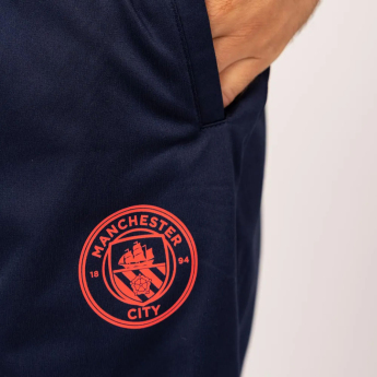 Manchester City pánska športová súprava 2024/25 Away