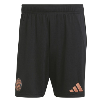 Bayern Mníchov futbalové trenírky 24/25 Away