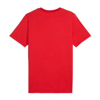 AC Milano pánske tričko ftblNRGY red