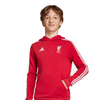 FC Liverpool detská mikina s kapucňou Hoody red