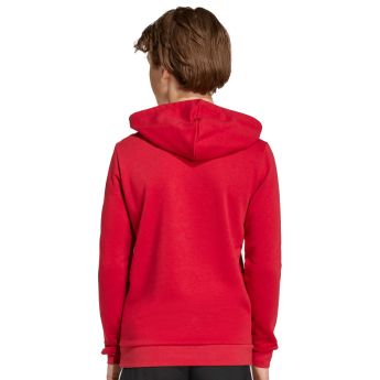 FC Liverpool detská mikina s kapucňou Hoody red