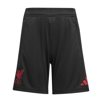 FC Liverpool detské tréningové trenírky black