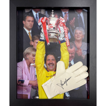 Legendy zarámované rukavice Seaman Signed Glove (Framed)