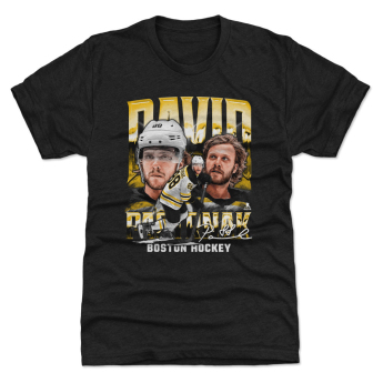 Boston Bruins detské tričko David Pastrnak #88 Vintage WHT 500 Level