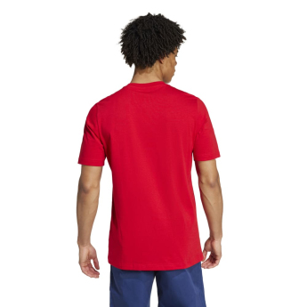 FC Arsenal pánske tričko DNA Graphic red