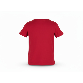 Calgary Flames detské tričko NHL Clean Cut red