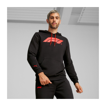 Formule 1 pánska mikina s kapucňou Logo black 2024