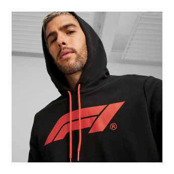 Formule 1 pánska mikina s kapucňou Logo black 2024
