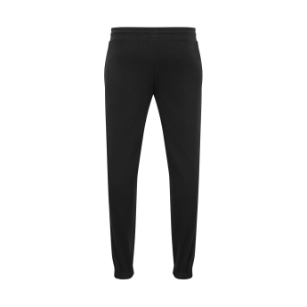 Formule 1 pánske tepláky Logo Black 2024