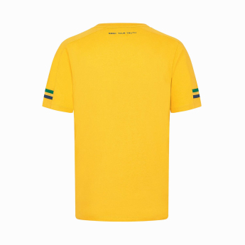 Ayrton Senna pánske tričko Stripe yellow 2024