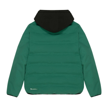 Aston Martin pánska bunda s kapucňou Puffy Alonso green F1 Team 2025