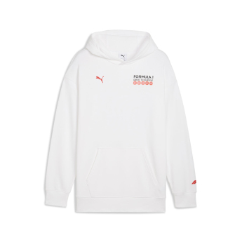 Formule 1 pánska mikina s kapucňou DTS Relaxed white F1 Team 2025