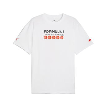 Formule 1 pánske tričko DTS Relaxed white F1 Team 2025