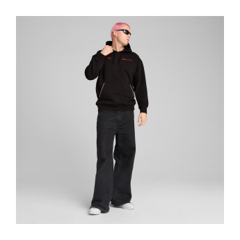 Formule 1 pánska mikina s kapucňou Essential Relaxed Logo black F1 Team 2025