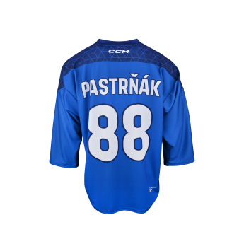 Hokejové reprezentácie hokejový dres Czech republic David Pastrňák 2025/2026 CCM Fandres replica blue