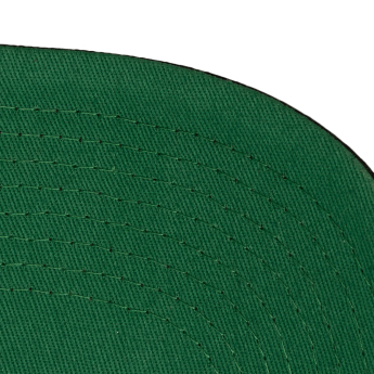 Washington Capitals čiapka baseballová šiltovka Busted Pro Snapback black