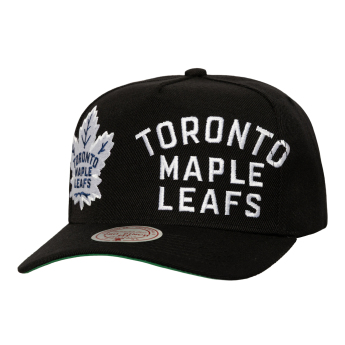 Toronto Maple Leafs čiapka baseballová šiltovka Busted Pro Snapback black