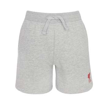 FC Liverpool detské kraťasy Sweat grey