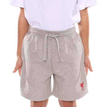 FC Liverpool detské kraťasy Sweat grey