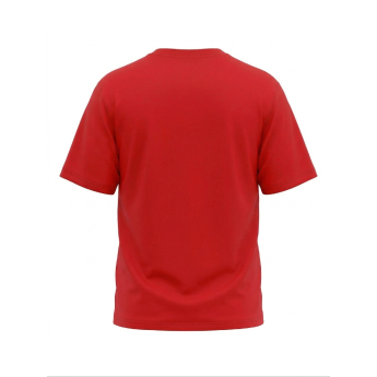 Detroit Red Wings pánske tričko Tek Patch red