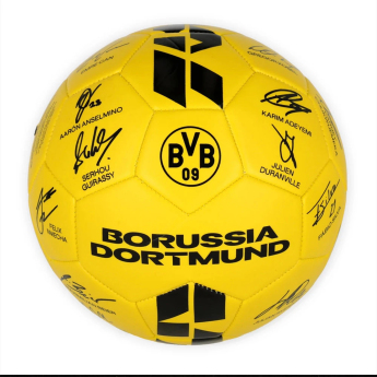Borussia Dortmund futbalová lopta 25/26 Signature