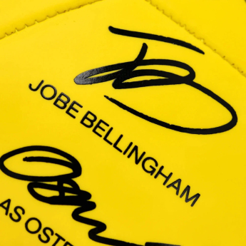 Borussia Dortmund futbalová lopta 25/26 Signature
