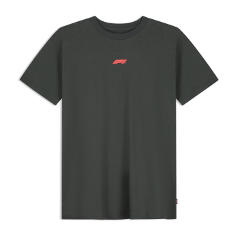 Formule 1 pánske tričko RDW Graphic black 2026