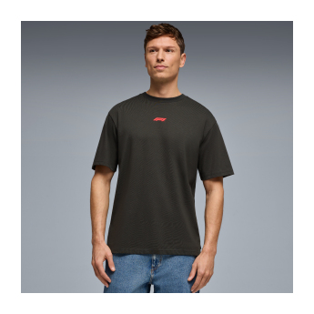 Formule 1 pánske tričko RDW Graphic black 2026