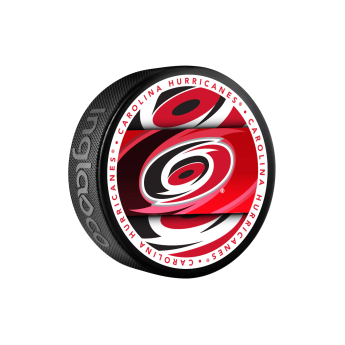 Carolina Hurricanes puk Medallion Souvenir Collector