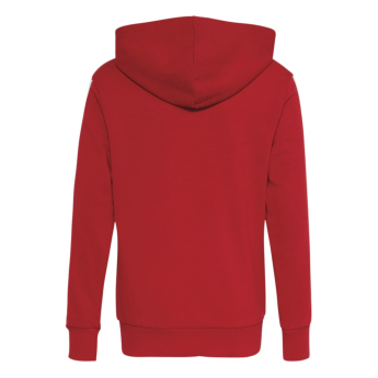 Bayern Mníchov detská mikina Hoodie