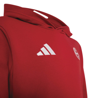 Bayern Mníchov detská mikina Hoodie