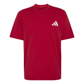 Manchester United pánske tričko Seasonal red